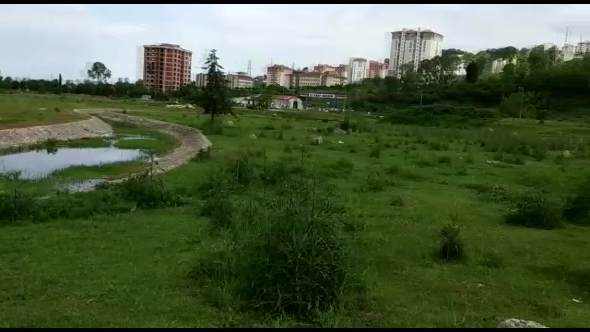 Politika
