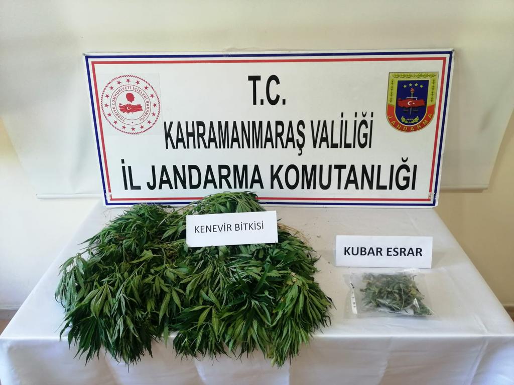 Politika